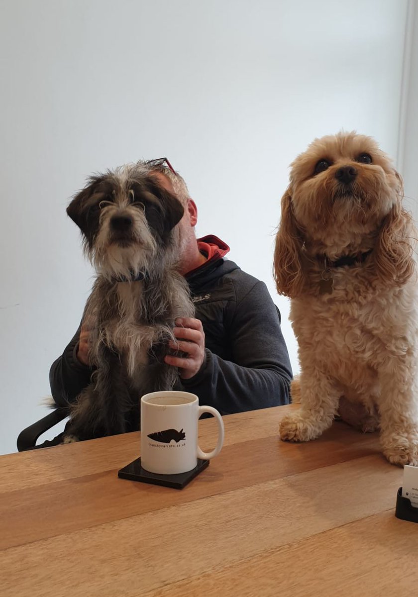 Alfie's new bestie paid him a visit 🐶 Scruff MacTuff, the mascot for <a href="/MacTuffOCR/">MacTuff</a>! 💪🏼🏃🏻‍♀️🏃🏻‍♂️