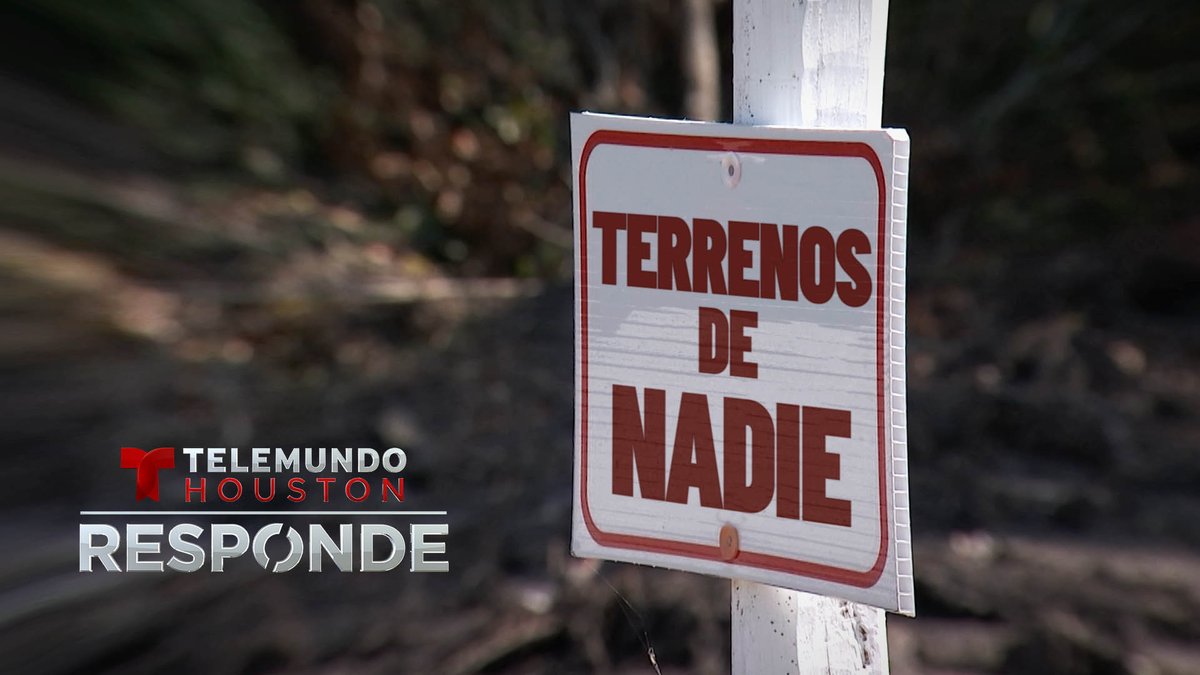 RESPONDE tweet media