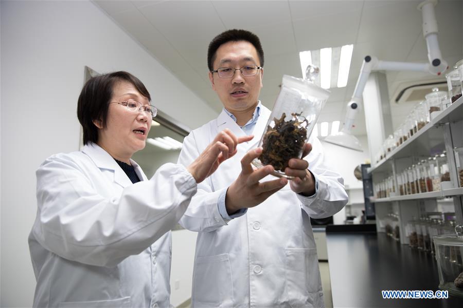 японские ученые.