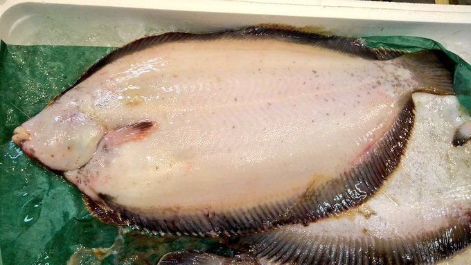 ナメタガレイを美味しく食べるレシピまとめ 下処理や捌き方も解説 お食事ウェブマガジン グルメノート