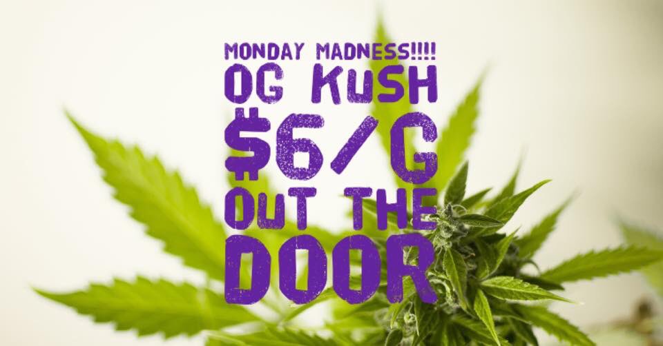 DazedCannabis's tweet photo. https://t.co/iY6IYPcxxj