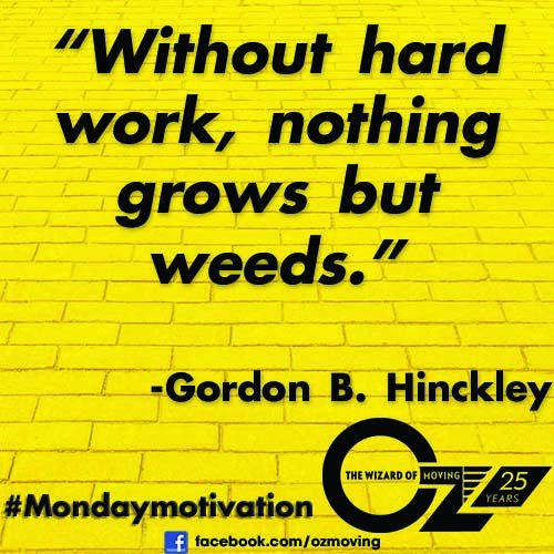 Oz Moving & Storage 🚚 📦 💪 tweet media