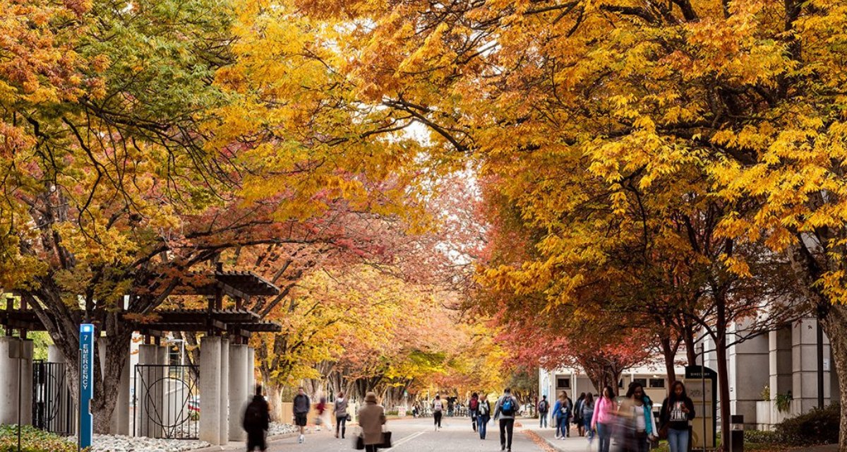 sacstartup's tweet image. What's happening this week in the greater Sacramento region's startup community? Find out about a new pitch competition and more in our latest blog post! buff.ly/2WHbpYn