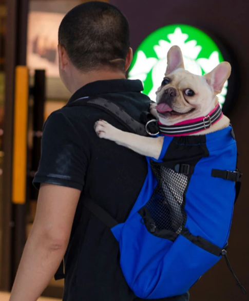 BuffetsGear's tweet image. Durable Breathable Waterproof Dog Carrier Backpack
#cutepuppy #dogcarrierbackpack #dogcarrier #saternus_frenchies #kennelsaternus #saternusvalpar #saternusescada #kidsanddogs #smalldogs #cutedogs #instapuppylove

Product Here : bit.ly/2qoxCyE