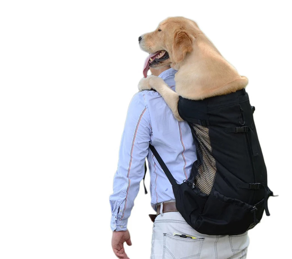 BuffetsGear's tweet image. Durable Breathable Waterproof Dog Carrier Backpack
#cutepuppy #dogcarrierbackpack #dogcarrier #saternus_frenchies #kennelsaternus #saternusvalpar #saternusescada #kidsanddogs #smalldogs #cutedogs #instapuppylove

Product Here : bit.ly/2qoxCyE