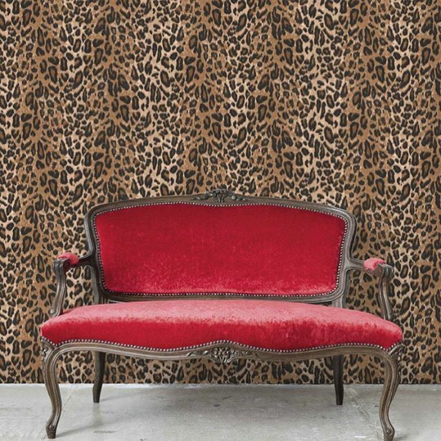magnolia_walls's tweet photo. It's been a totally wild Monday ๐
. โ
. โ
.
#wallpaperrocks #fadedglamour #pearllowe #animalprint #woodchipandmagnolia #fearlessdecor #extraordinaryyou #wallpaperlove #madeinbritain #designcrush #moreismoredecor #myeclecticmix #moreismore #eclectichโฆ https://t.co/zbokvqqDuj https://t.co/Zr6LDom6Er
