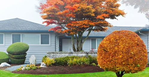 GetFeello's tweet photo. Looking at selling a home this Fall? Here are a few simple tips to help spruce up your home for the market 🧹
#realestate #sellingahome #fallmarket #mondaymotivation
https://t.co/sQ6URbwlNb https://t.co/1wnzpgbXvZ