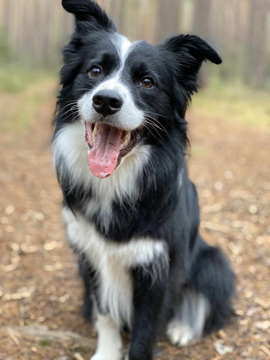 #LiebeLiebeLiebe 😍