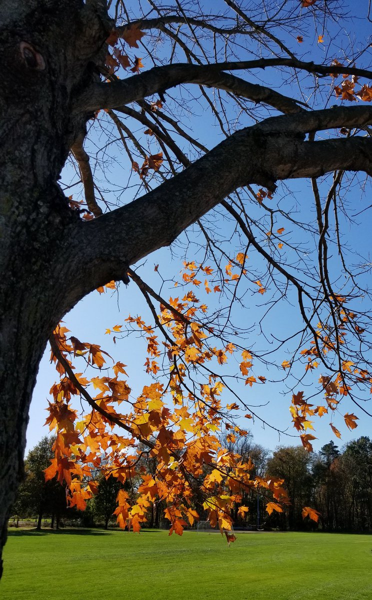 ~Needed to reconnect with the planet, so I stopped at the park.