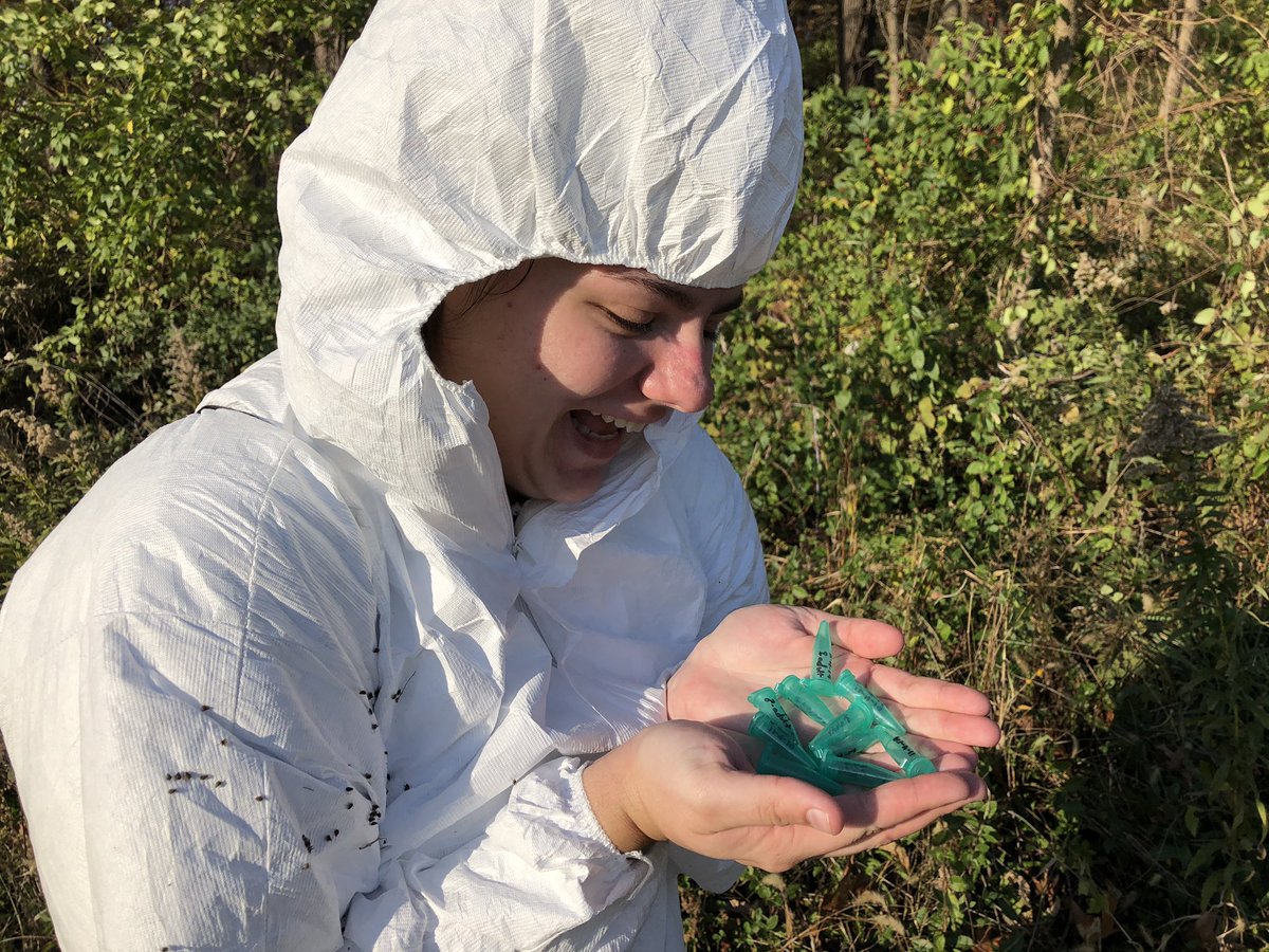 LVCEnvi's tweet image. It’s a beautiful day for tick dragging.  Cara Gibson (BIO ‘20) was excited to break Friday’s record of 9 deer ticks. #LVCresearch
