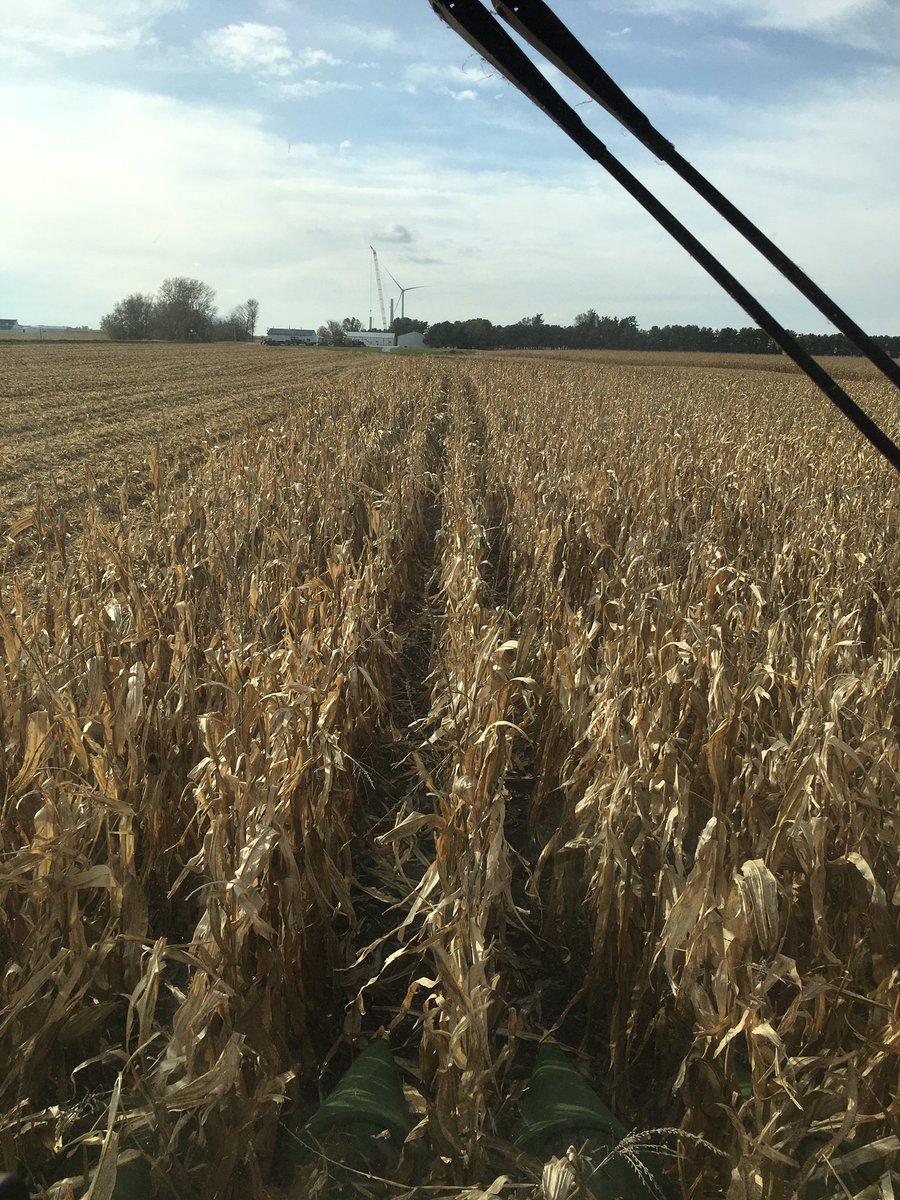 FarmerGC79's tweet photo. After 4-6” of the white stuff on the 30th and 31st we’re back in corn, snow still stuck in the outside rows of the soybeans...so we’re attacking the June replant acres.  360 acres of soybeans still to go, 500 of corn. #AgriTalk #thatdamnmonkey https://t.co/yVm5H9Lkgf