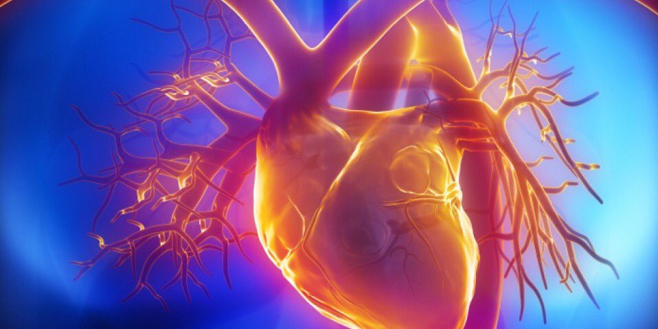 Si un deportista presenta un Mareo lo peor que puede hacer es ir al baño a echarse agua ya que puede exacerbar tono vagar y sincopar en particular si intenta miccionar! Hoy un caso en directo! Túmbate y espera donde estés! <a href="/secardiologia/">Soc Esp Cardiología</a>