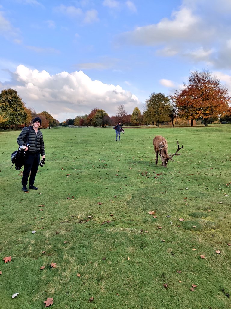 ℝ𝕆𝔹! (@rlachowicz) on Twitter photo Solid round at @ClubWollaton with the boys today! 🦌 #OhDeer #WayneManor Solid round at @ClubWollaton with the boys today! 🦌 #OhDeer #WayneManor