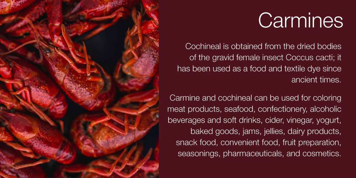 IACMColor's tweet image. Today's #featurecolor is #Carmine and #Cochineal. Cochineal and Carmine can be used for coloring meat products, seafood, jams, fruit preparation and more!