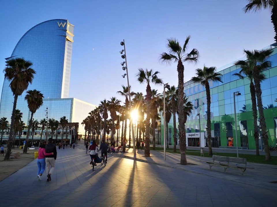 NesbyG's tweet image. Barcelona you pearl ❤️. We need more sea and palm palm. 🏖️🏝️
#barcelonetabeach #spain #seaside #sunshine #oceanvibes🌊 #wbarcelona #summer2019 #citytrip #fallinginlove #nochmalindensommerflüchten #palmen #strand #holidays @SpainInUSA #MondayMotivation