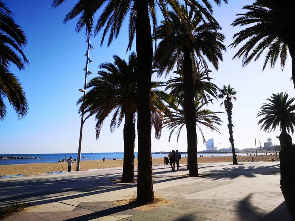 NesbyG's tweet image. Barcelona you pearl ❤️. We need more sea and palm palm. 🏖️🏝️
#barcelonetabeach #spain #seaside #sunshine #oceanvibes🌊 #wbarcelona #summer2019 #citytrip #fallinginlove #nochmalindensommerflüchten #palmen #strand #holidays @SpainInUSA #MondayMotivation