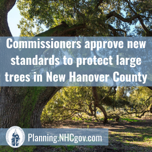 NewHanoverCo's tweet photo. #NHCgov Commissioners held a public hearing &amp; approved amendments to the county’s zoning ordinance that establish new standards for the protection of large trees &amp; also amends the county’s fee schedule to include tree mitigation fees. More details: https://t.co/qcIgEtAhyw https://t.co/2SpnObSmQk