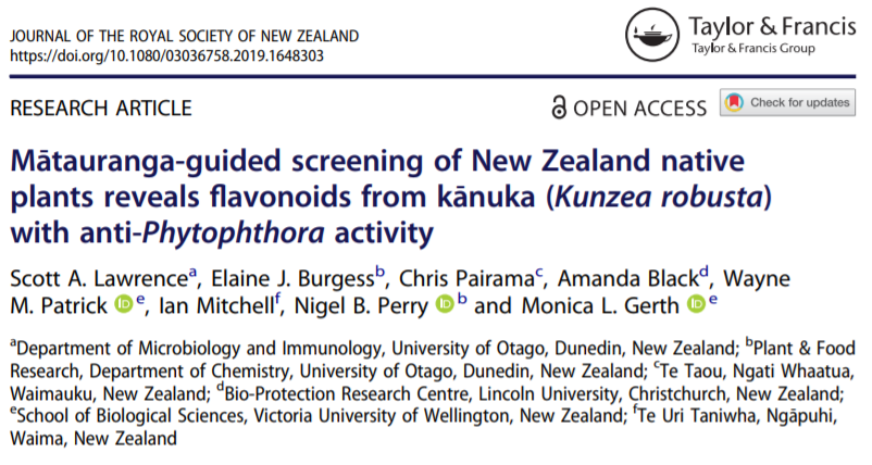 Im_Sarah_Kim's tweet photo. Lawrence et al. (2019): Mātauranga Māori guided study finds kānuka leaf extract prevents Phytophthora agathidicida zoospore germination &amp; motility, causes lysis https://t.co/yjurAjL3qj