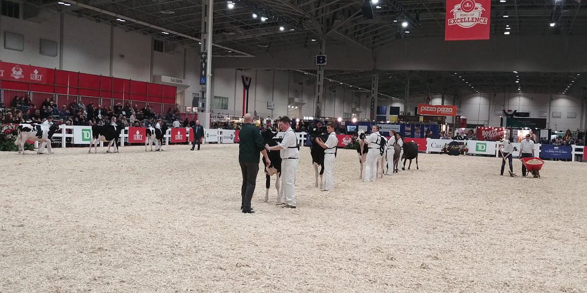 pembyT's tweet photo. Congrats to Jr Showmanship Champion Porter Weeks (PEI) and Reserve Champion Tyler Gingrich (Waterloo) #classic40 https://t.co/U0cHdsddg1
