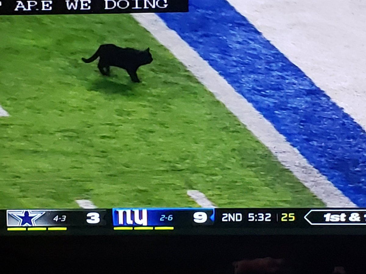 KeepCollective1's tweet image. #nygiants #BlackCat  #giants