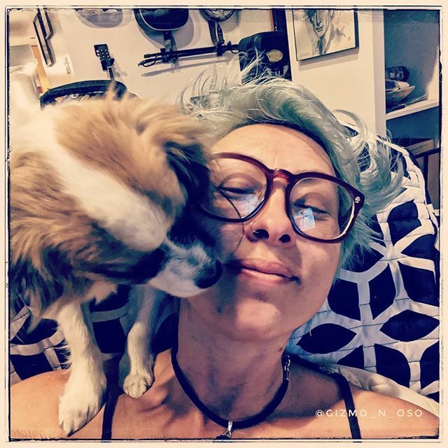 Gizmo_Lowrance's tweet image. Giving Mommy kisses! 
#brothersmayhem #cutestpuppyever #prapso #prapsopuppy #malshi #maltesemix #shihtzumix #puppylove #tinydogs #AdventureDogInTraining #assistanteditor #cutepuppies  #cutedogs #adorablepuppies #bookchewer #puppiesofinstagram #dogsofinst… ift.tt/2NhRFHQ