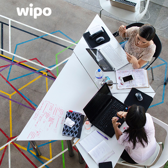LedLux_mx's tweet photo. Conéctate con Wipo.
Coloca nuestras antenas y disfruta de internet libre en tus establecimientos.
Para mayor información, ¡contáctanos! https://t.co/RXuHuSoVcS