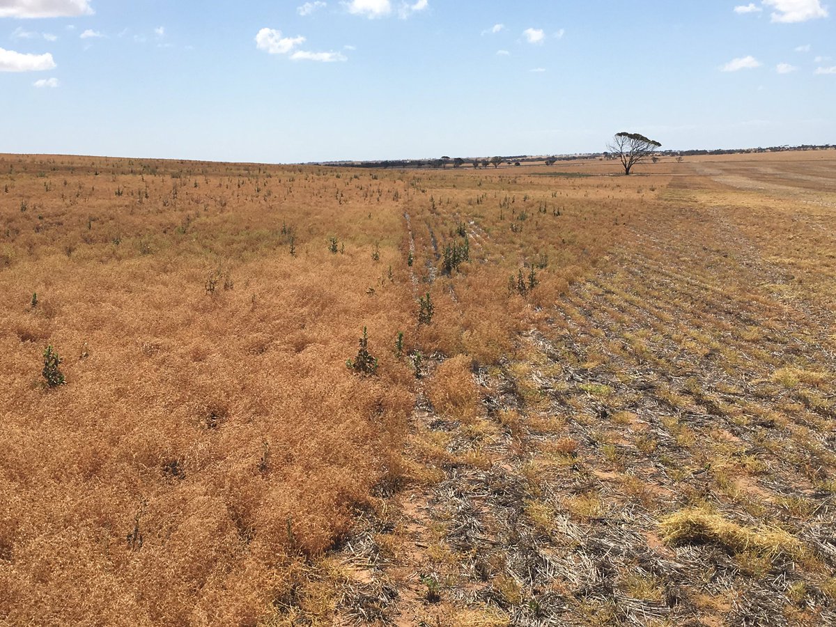 fieldworkssa tweet media