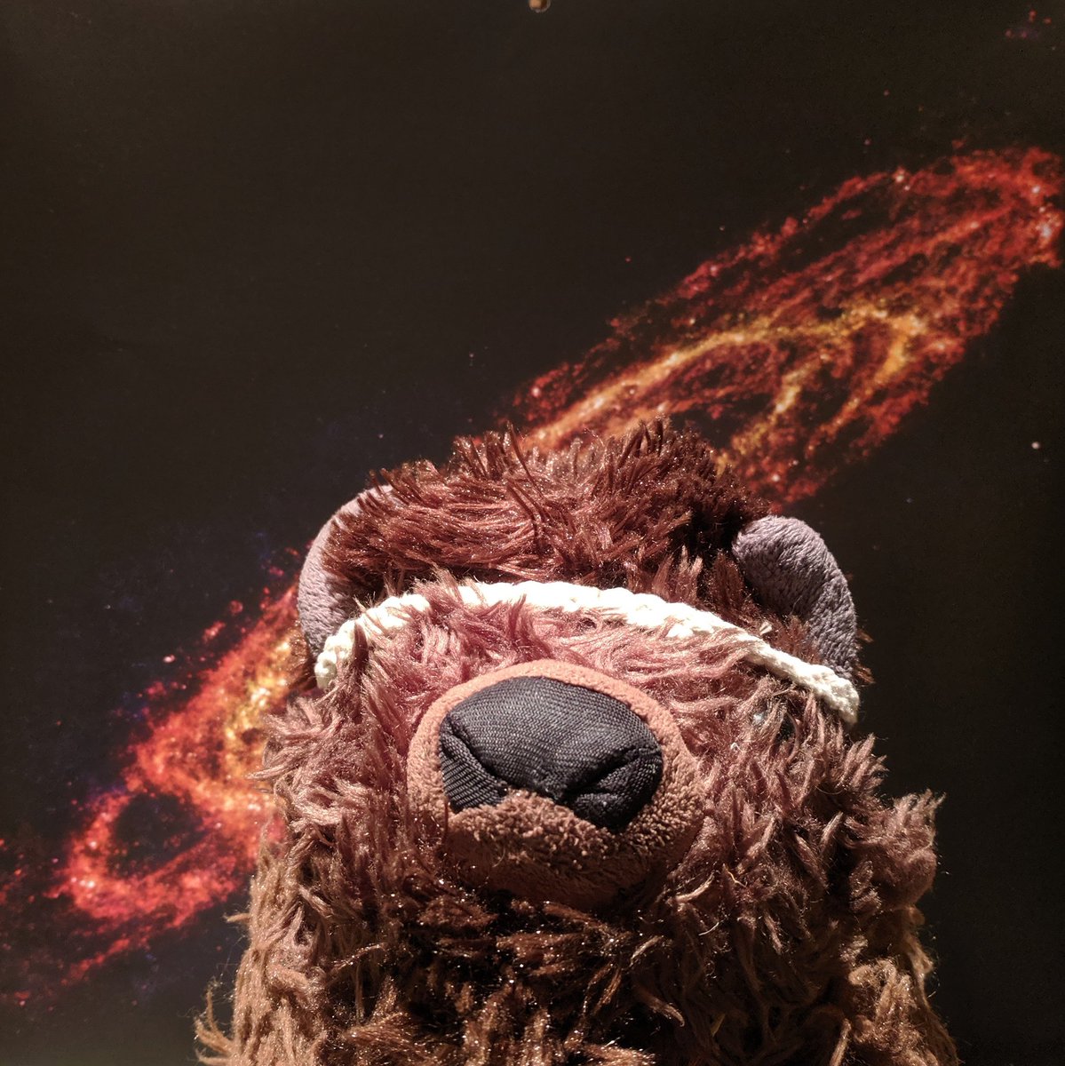 bison_in_space's tweet photo. Guess who's home safe and sound? https://t.co/Zzn0Y8dHPT