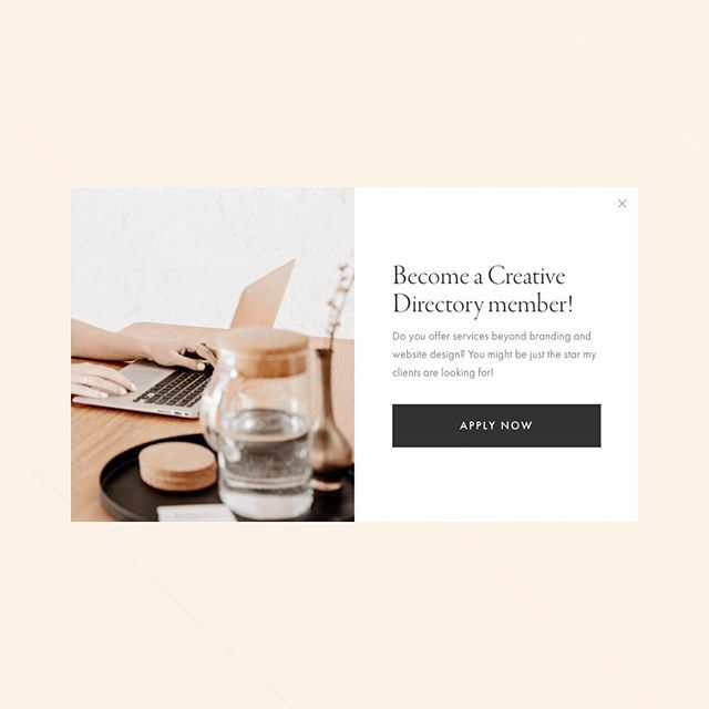 JanuaryMade's tweet image. UPDATE — Just a little announcement I thought I’d get out in preparation for my December break where I’ll be working on my own business (I’d like to officially dub it the business #careandcultivate hehe month 😋) - you can now properly apply to become… ift.tt/2PMHkoR
