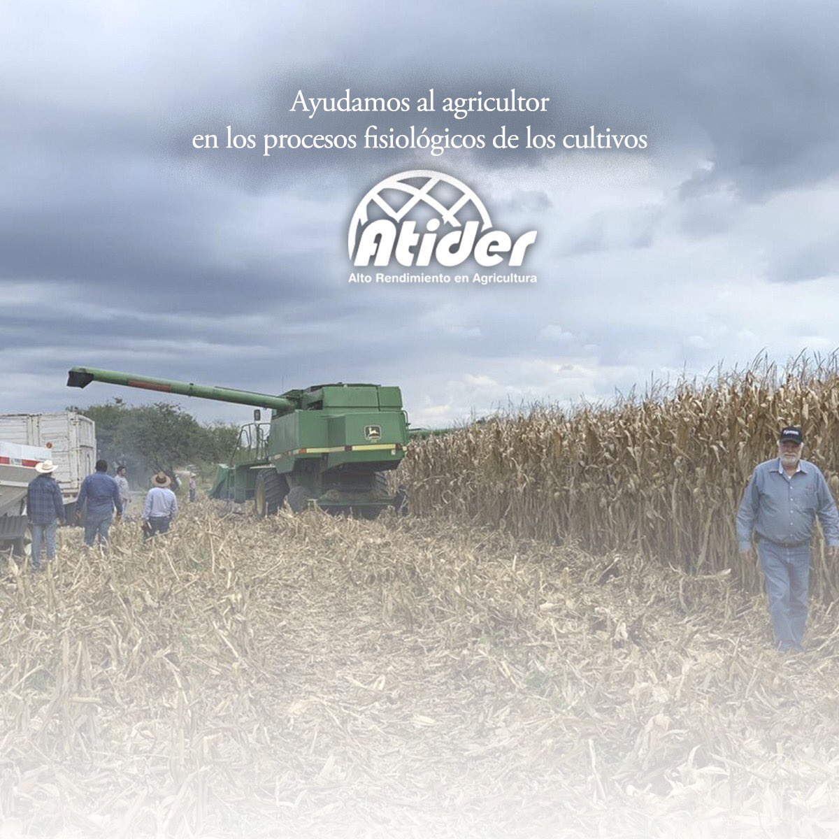 atidermexico's tweet photo. Buscamos brindar al agricultor soluciones de alto rendimiento en cada una de las etapas de sus cultivos 🌱 🌽https://t.co/NerKRO2vUs
•
•
#Altorendimientoagricola #maíz #SoyAtider
#Atider https://t.co/tOrtQ1ApuL