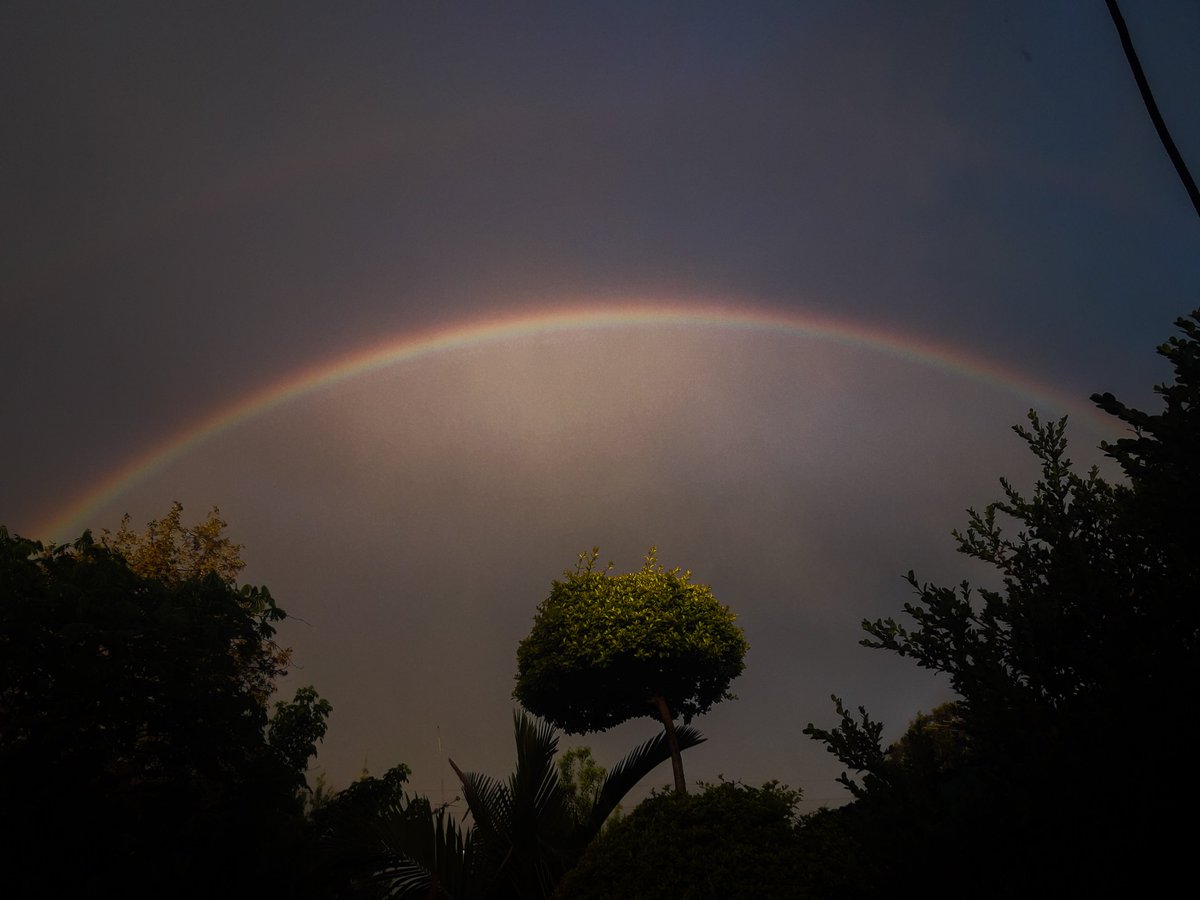 Erylei20's tweet photo. 🌈 https://t.co/6ToJSAoBXB