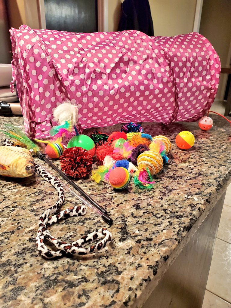 kittennursekc's tweet photo. Thank you, Nick, for sending these toys to the @TinyKittenRR! (I follow a few Nicks so I'm not sure who sent this). https://t.co/dQ1k1ThI3U