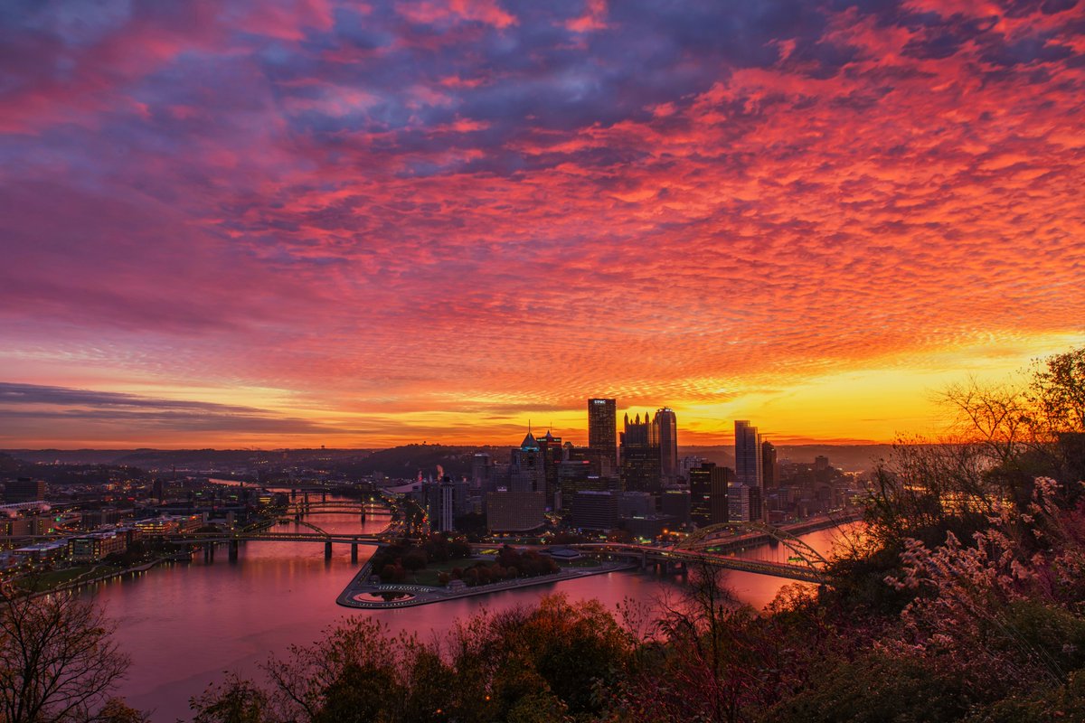 Dave DiCello tweet media
