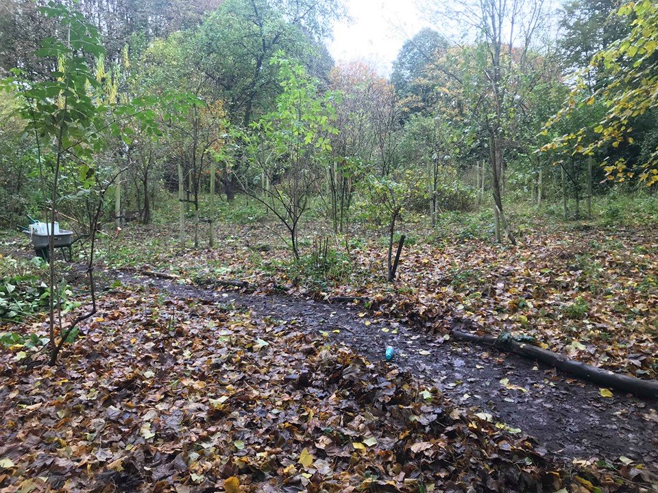 We have another #volunteer session at our #Orchard this coming Friday 11-3pm