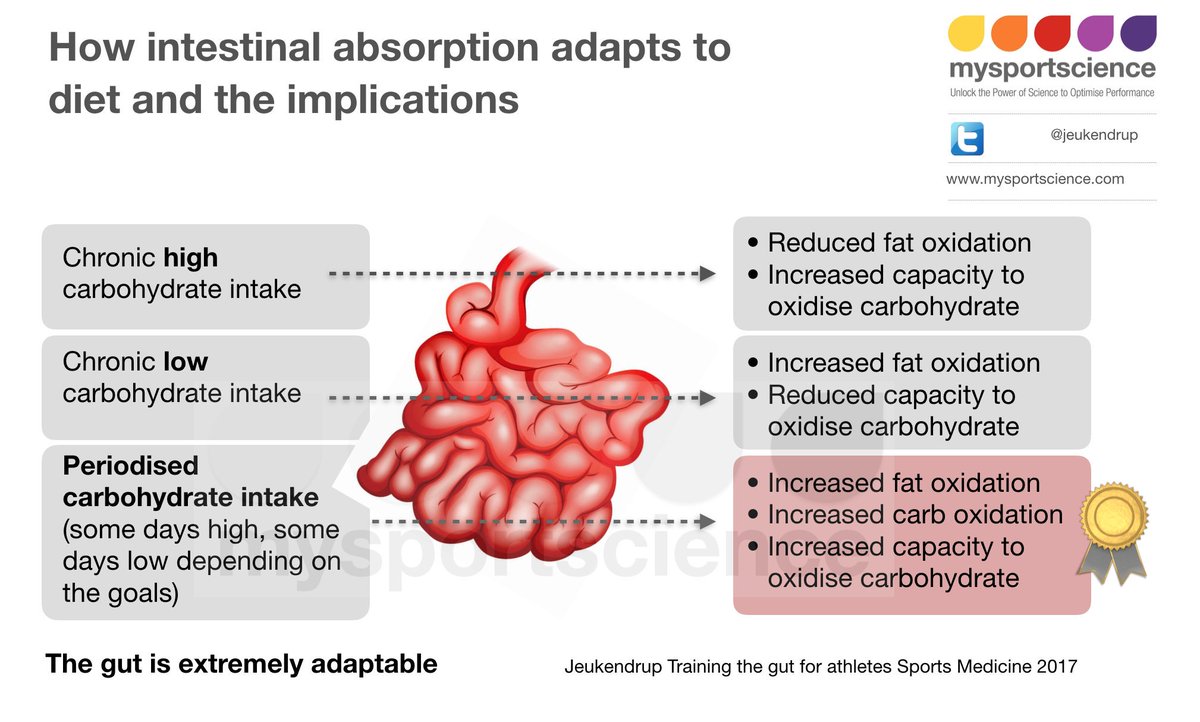 Q tomar para inflamacion intestinal