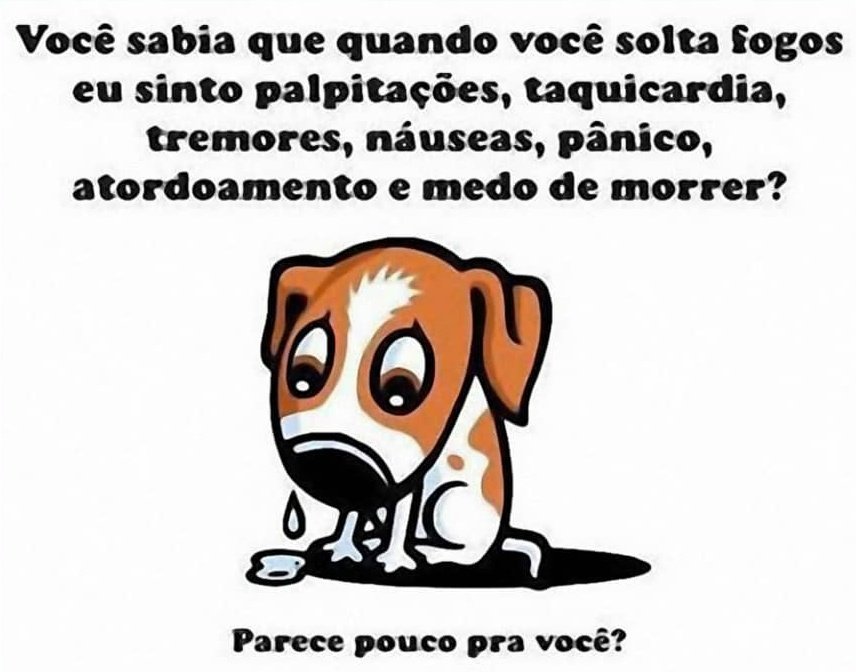 seuciulia's tweet photo. Vamos usar esse site pra uma coisa q presta!!! 
Os animais sofrem muito cm o barulho dos fogos, esse final de ano tentem alertar seu amigos e parentes para optarem por formas alternativas de artifícios!!!
Da RT pra ajudar os bichinhos!!
#naoaosfogos https://t.co/Rd5JEFn7xM