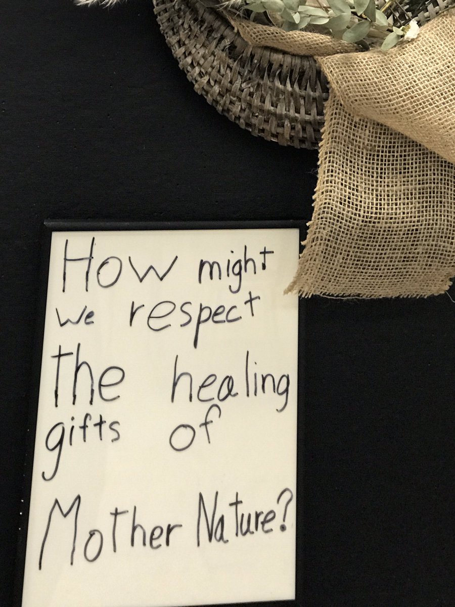 HinderYYC's tweet photo. How might we respect the healing gifts of Mother Nature? Grade 2 are beginning their learning journey of the medicines that heal us to build their own Prairie Apothecary! @Indigenous_cbe #cbelandbasedlearning @CJMCBE @McKnuggetsCJM #WeAreCBE https://t.co/w55NjCMHQs