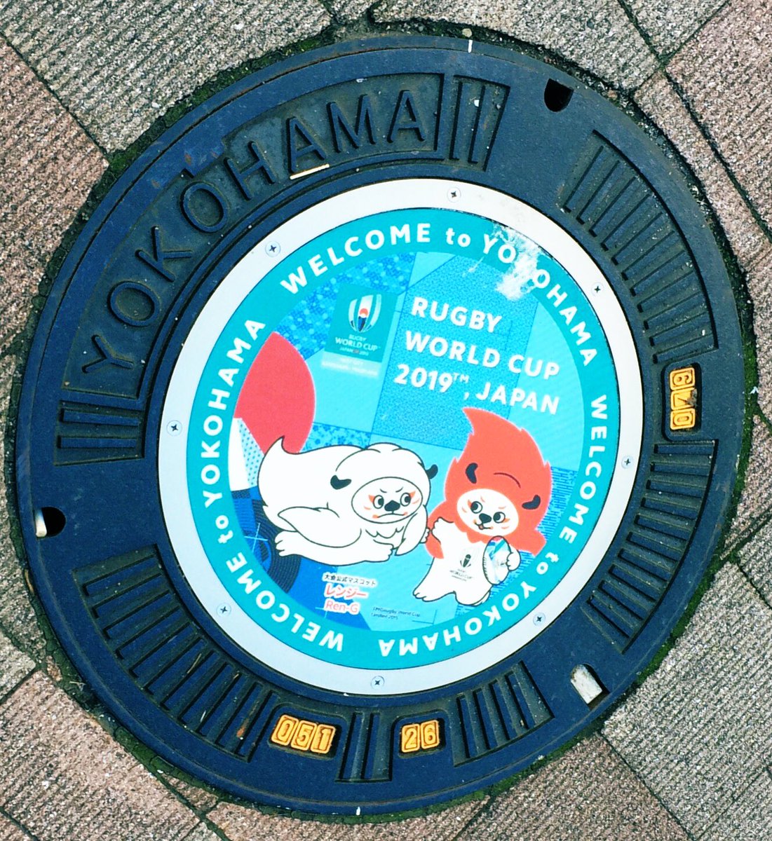里雪 ラグビーw杯閉幕と共にこの子達も居なくなっちゃうのかな 足下を見るたびにほっこりしていました 里雪 ラグビーw杯閉幕と共にこの子達も居なくなっちゃうのかな 足下を見るたびにほっこりしていました