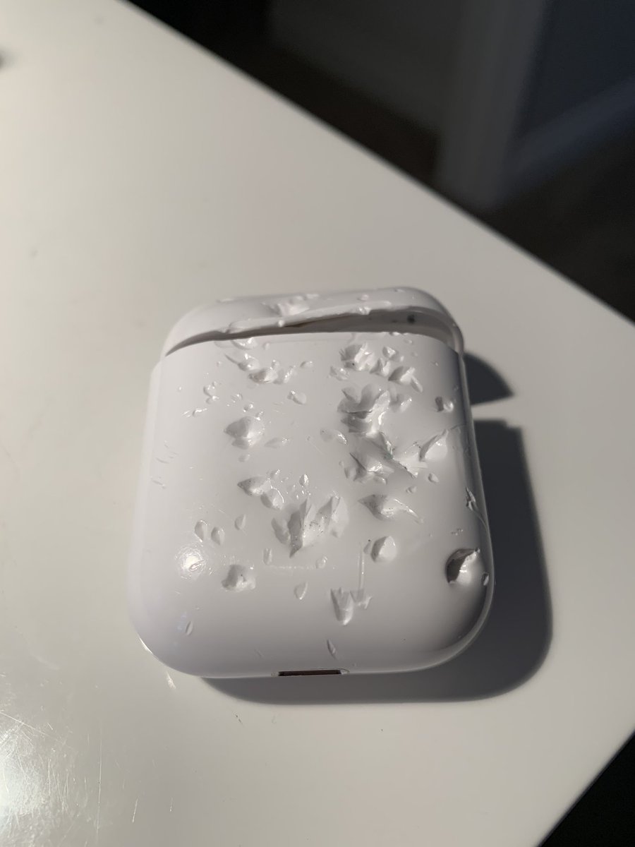 EmilyAWatkins's tweet image. Apparently these things taste really good... #dogsloveapple #dogs #airpodproblems