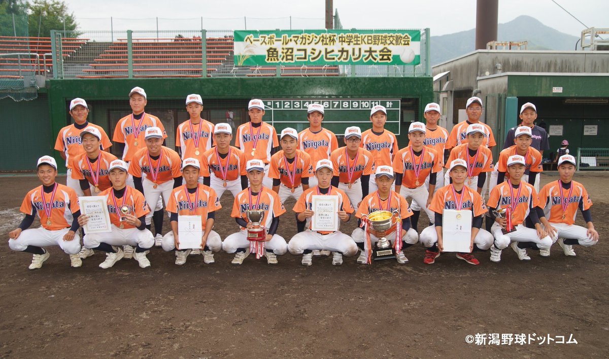 新潟野球ドットコム Niigatayakyu Twitter Profile Stwity