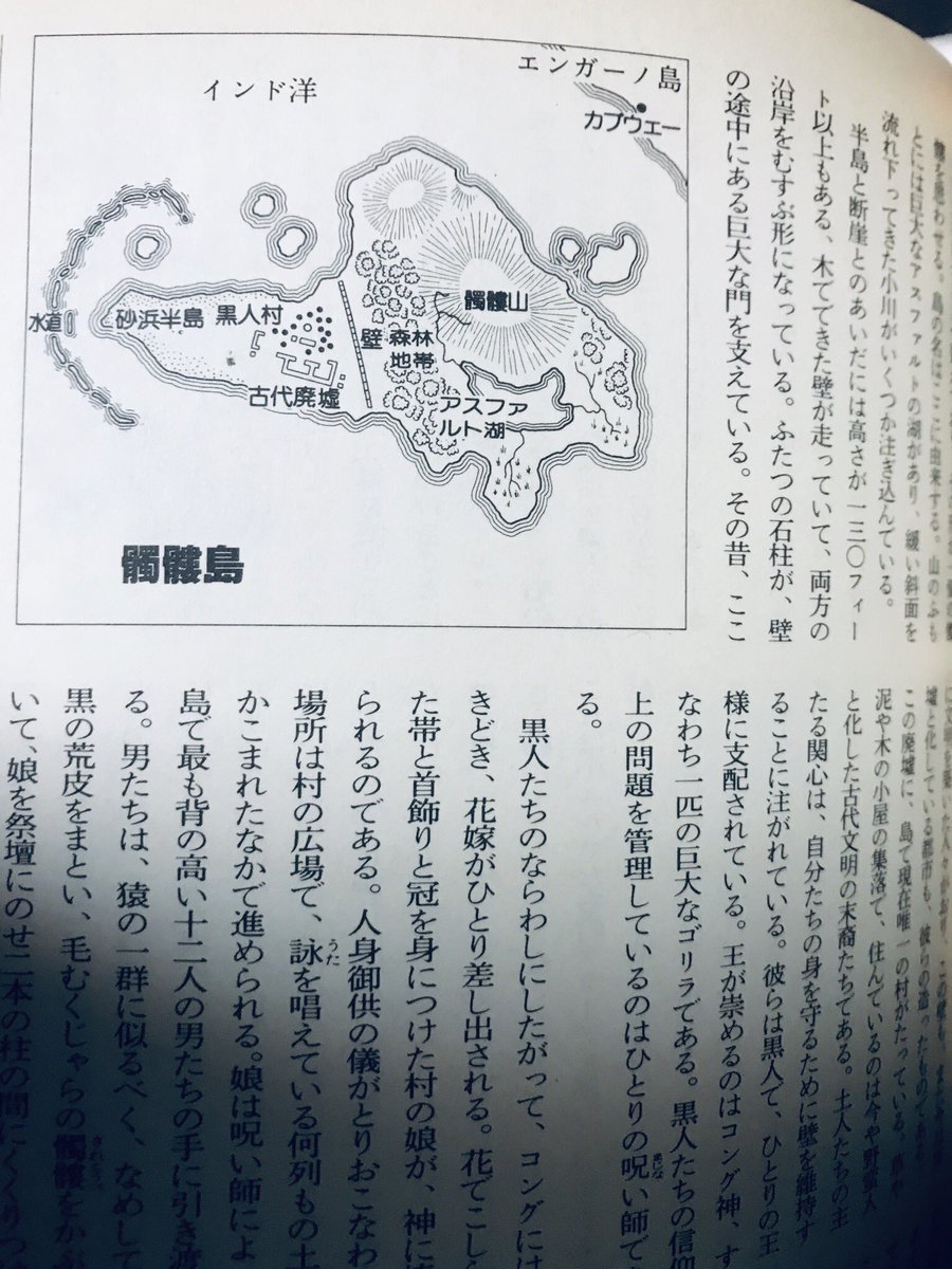 「世界文学における架空地名大事典」は物語の舞台だけを集めたるるぶ異世界なのだ

ナルニア、ラピュタ、ムーミン谷、想像するしかない未邦訳作品まで、奇想溢れる設定と随所の地図がイマジネーション唆りまくり!

古い本だが攻略本好きや創作勢は是非〜。より詳細な完訳版もあるがどプレミアなのだ? 