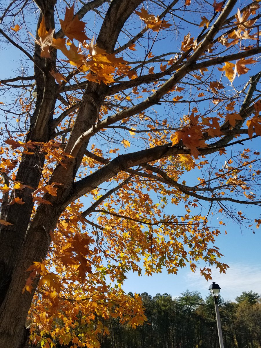 ~Wow! I finally trusted and believed someone again and that person just took away the hope they gave me.