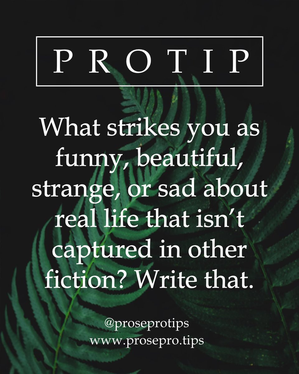 ProseProtips's tweet image. What strikes you as funny, beautiful, strange, or sad about real life that isn’t captured in other fiction? Write that.
.
.
#nanowrimo2019 #writingtips #writingadvice #proseprotips #howtowriteabook #writerscommunity