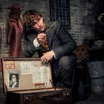 待望の新作!「ファンタスティック・ビースト」第3弾の撮影が間もなく開始？