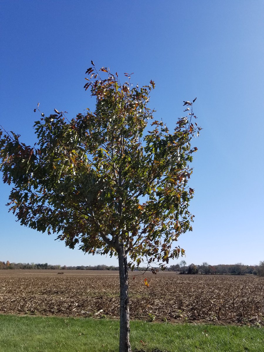 ~I have had enough of broken promises &amp; heartache. I'm signing off &amp; not returning. I Love you all very much, but I'm tired of 
being treated like shit for giving &amp; giving, &amp; getting nothing in return. Nothing but abuse.