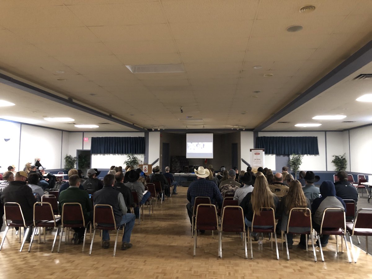 Great turnout at the Zone 5 Innisfail meeting tonight. We started with a screening of Guardians of the Grasslands and will be hearing from <a href="/beefadvocacy/">Beef Advocacy</a> next! #allforthebeef #abag