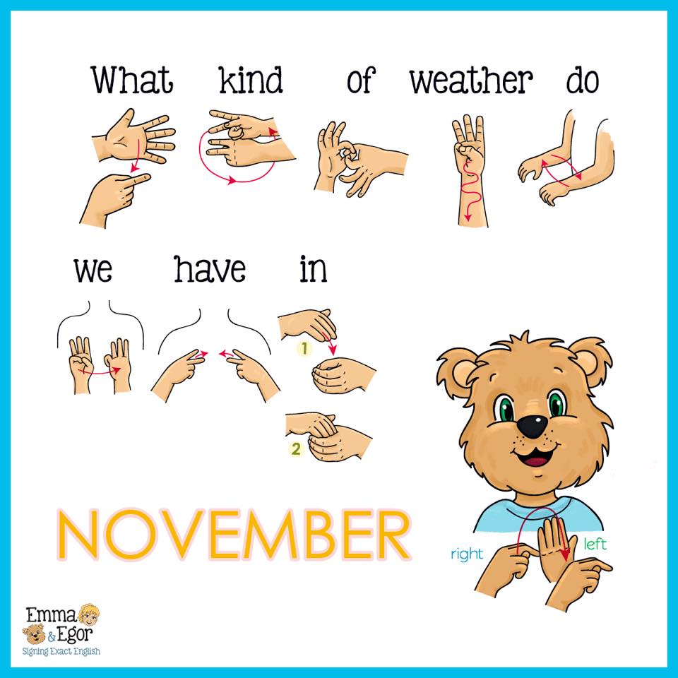FLHandV's tweet image. Welcome to November!