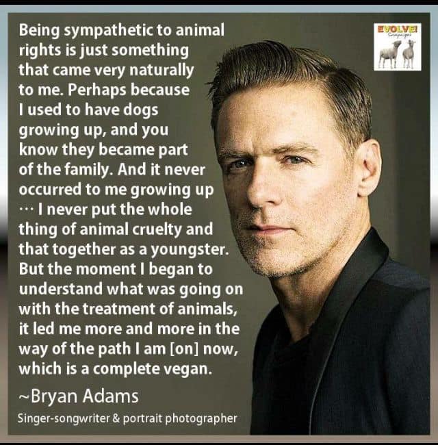 Happy birthday, Bryan Adams 
