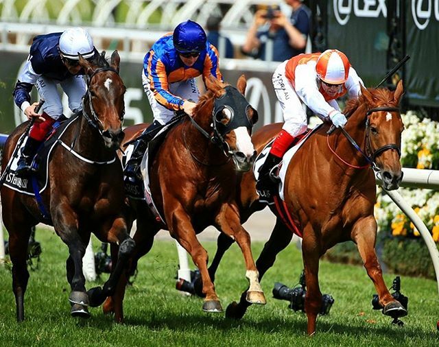 2019 Melbourne Cup Day at Flemington Racecourse, Melbourne, Victoria. Jockey Craig Williams wins the Melbourne Cup on Danny O'Brien trained Vow and Declare. Picture: Mark Stewart. #Heraldsun @mark_stewart #melbournecup @flemingtonvrc #racethatstopsthenat… ift.tt/2WKiWWk