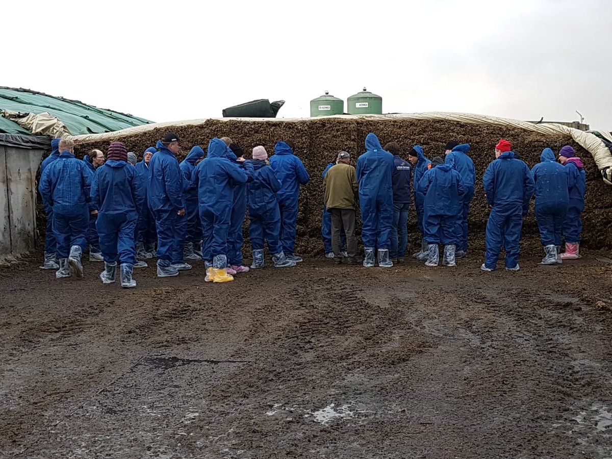 EllaAnu's tweet image. Normandian cows, cheese and sider/cows and apple trees on the same pastures. Talking about french grasses abd farm management with a inspired group of finnish discussion group members #Normandia #bestpractises #discussiongroups #studytrip @ProAgria